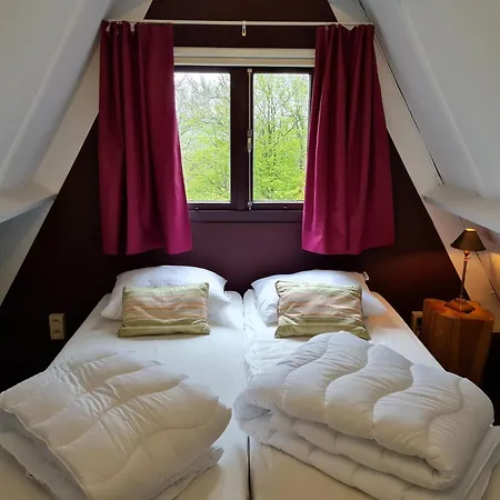 Contemporary Ardennes In Durbuy